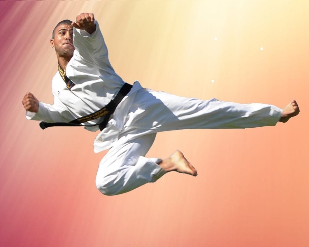 Adults Martial Arts in Marrickville + Chester Hill