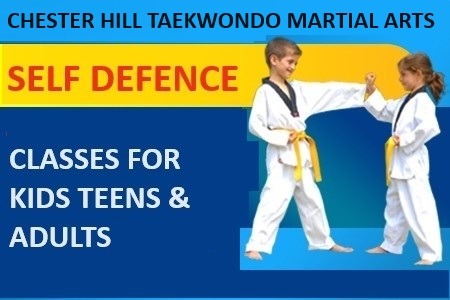 Chester Hill Martial Arts Karate Taekwondo and Martial Arts Self Defence in Chester Hill Bankstown area in South West Sydney for kids teens and adults