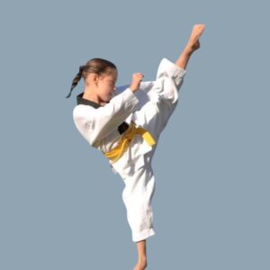 Kids Kung Fu in Chester Hill for kids and teens of all levels
