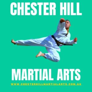 Kids Kung Fu in Chester Hill for kids and teens