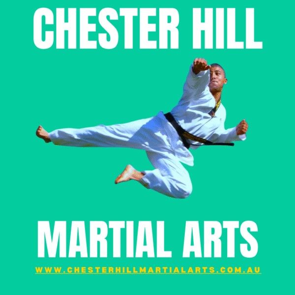 Kids Kung Fu in Chester Hill for kids and teens