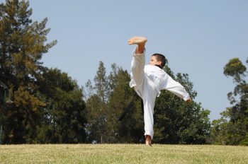 Kids Martial Arts in Marrickville Inner West & Chester Hill South West Sydney a combination of Karate, Taekwondo, Kung Fu, Hapkido + Martial Arts Self Defence. Kids Martial Arts Marrickville Inner West & Chester Hill South West Sydney