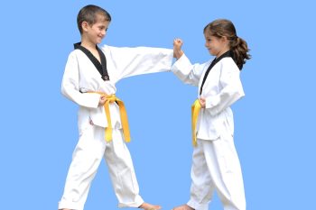 Kids Martial Arts Marrickville-Pinnacle kids Martial Arts in Marrickville for kids & teens of all ages and levels Kids Martial Arts Marrickville