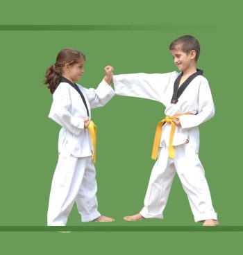 Martial Arts in Guildford for kids, teens and adults of all ages and levels. Martial Arts in Guildford