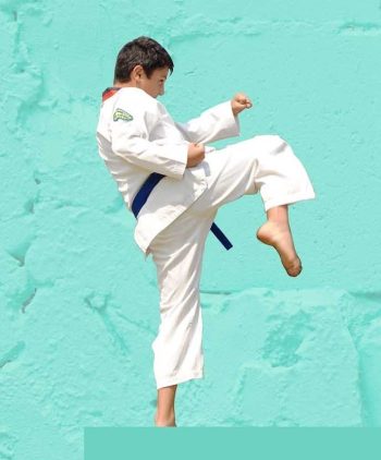 Martial Arts in Petersham for kids teens and adults Martial Arts in Petersham
