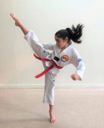 Pinnacle Karate in Chester Hill South West Sydney for kids, teens and adults Pinnacle Karate in Chester Hill South West Sydney