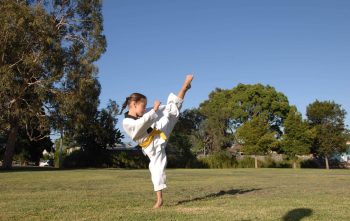 Pinnacle Martial Arts & Karate in Chester Hill Bankstown Area and Marrickville Inner West Sydney Pinnacle Martial Arts Marrickville Chester Hill Sydney