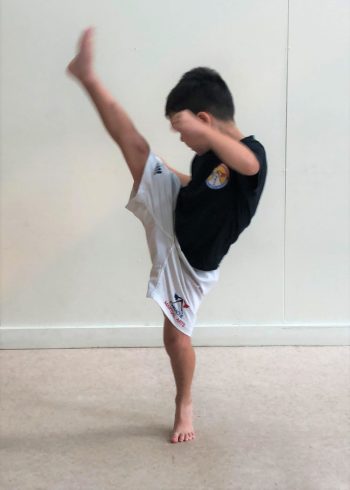 Pinnacle Martial Arts in Marrickville Inner West Sydney & Chester Hill in South West Sydney for kids, teens and adults Pinnacle Martial Arts in Marrickville Inner West Sydney & Chester Hill in South West Sydney