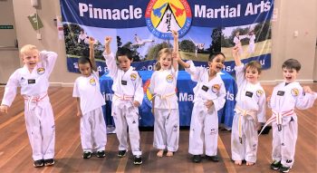 Pinnacle Martial Arts in Marrickville Inner West Sydney and Chester Hill, Bankstown Region in South West Sydney for kids, teens + adults. Pinnacle Martial Arts in Marrickville & Chester Hill Sydney