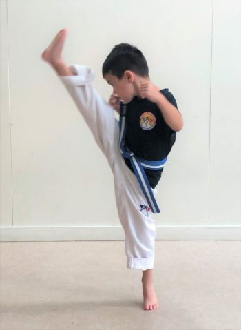 Pinnacle Martial Arts in Sydney for kids teens and adults of all ages and levels Pinnacle Martial Arts in Sydney for kids, teens and adults