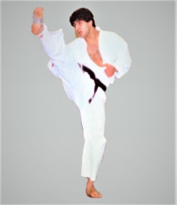 Pinnacle Martial arts In Marrickville for Kids Teens and adults Pinnacle Martial Arts in Marrickville