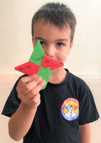 Pinnacle top Martial Arts in Marrickville for kids, teens and adults- Pinnacle Martial Arts is a proven combination of Taekwondo, Martial Arts Self Defence methods, Kung Fu, Boxing, Kickboxing and Karate Kids Martial Arts in Marrickville