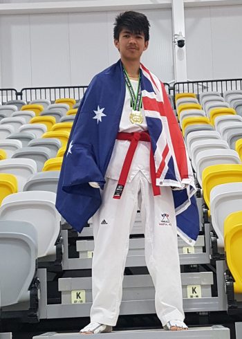 Taekwondo Martial Arts in Rockdale for kids teens and adults. Pinnacle Martial Arts in Rockdale for all ages and levels. Taekwondo Martial Arts in Rockdale for kids teens and adults