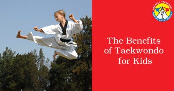 Pinnacle Kung Fu influenced Martial Arts in Marrickville and Chester Hill Sydney Kung Fu in Marrickville and Chester Hill Sydney