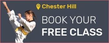 Pinnacle Martial Arts in Chester Hill Bankstown Area in South West Sydney for kids, teens and adults Martial Arts in Chester Hill for kids, teens and adults